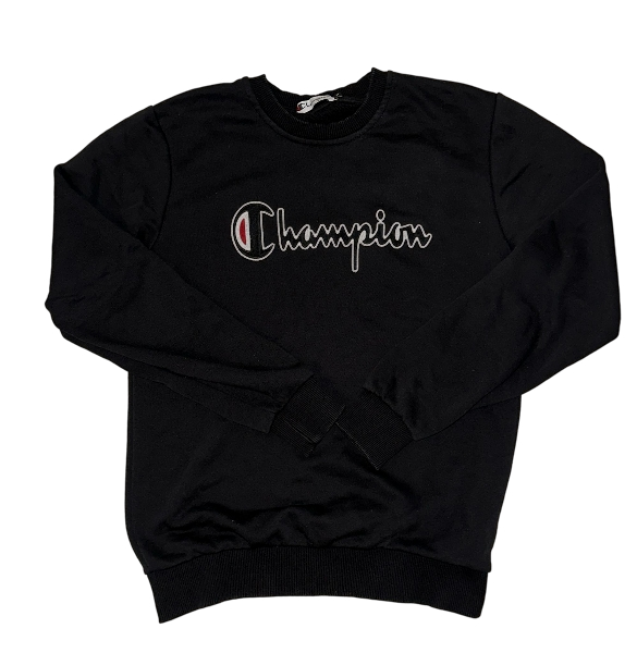 Champion Pullover